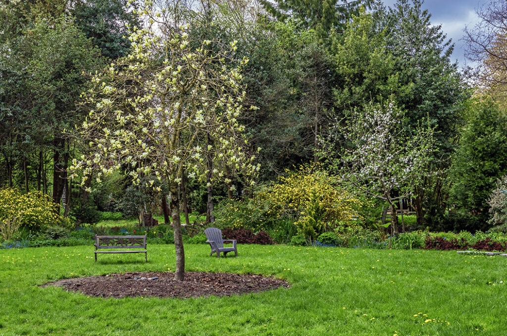 Pretty park setting in ontario